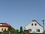 Třibřichy